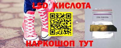 амф Заволжье