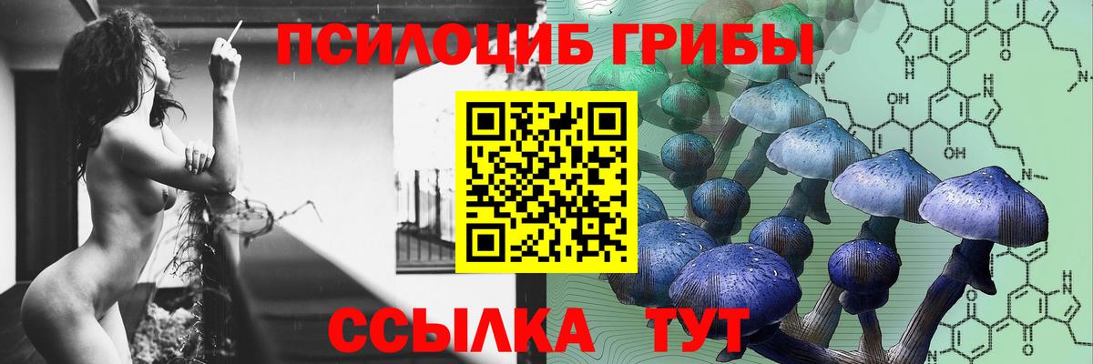 Галлюциногенные грибы прущие грибы Новоалтайск