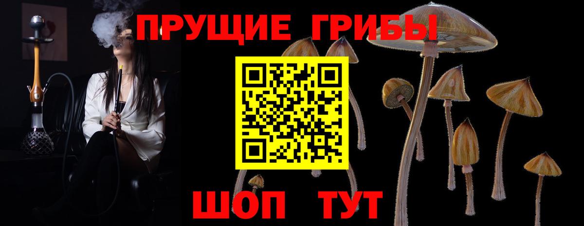Новоалтайск  Псилоцибиновые грибы ЛСД  Вход с VPN 